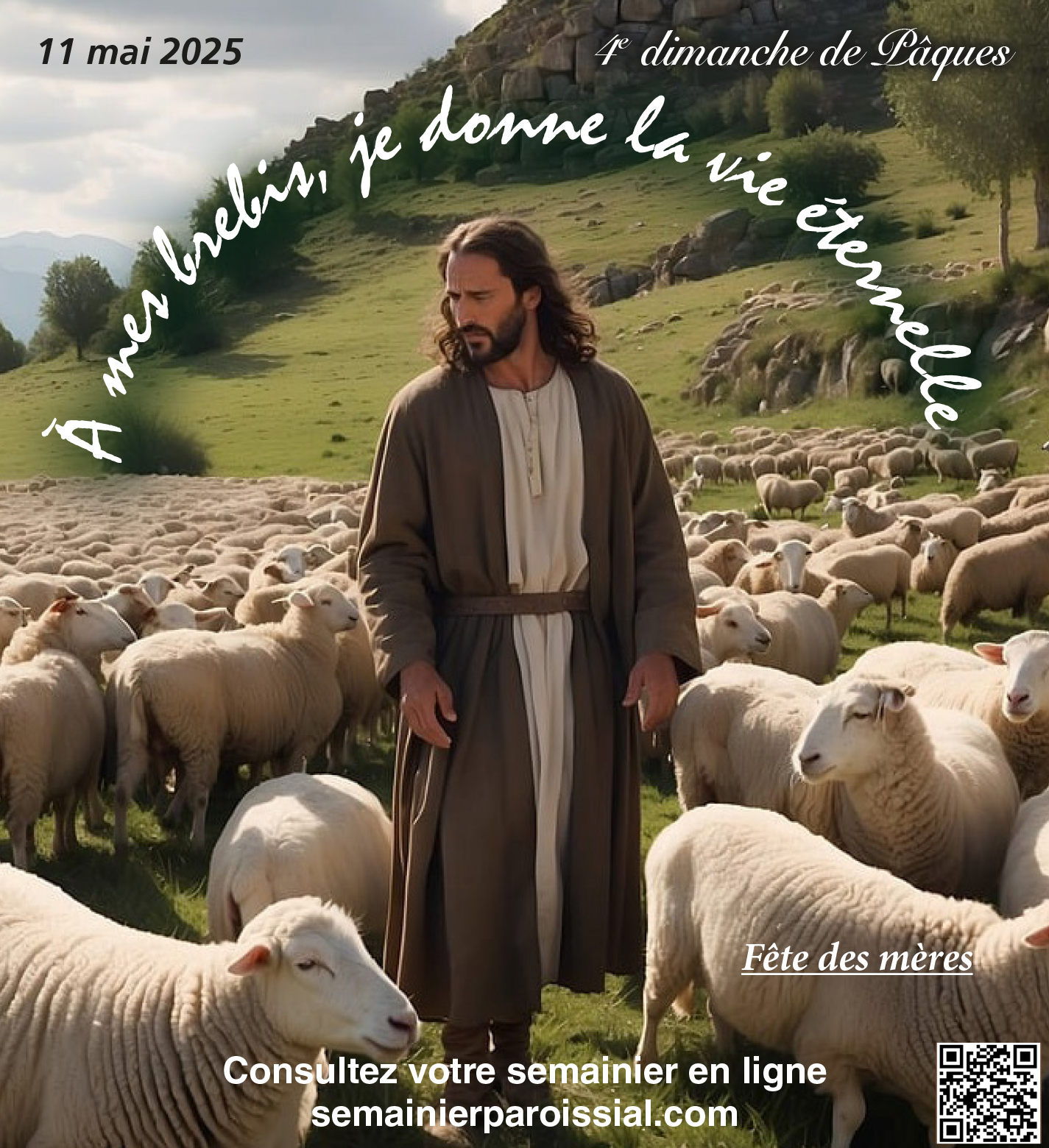 Image de la semaine